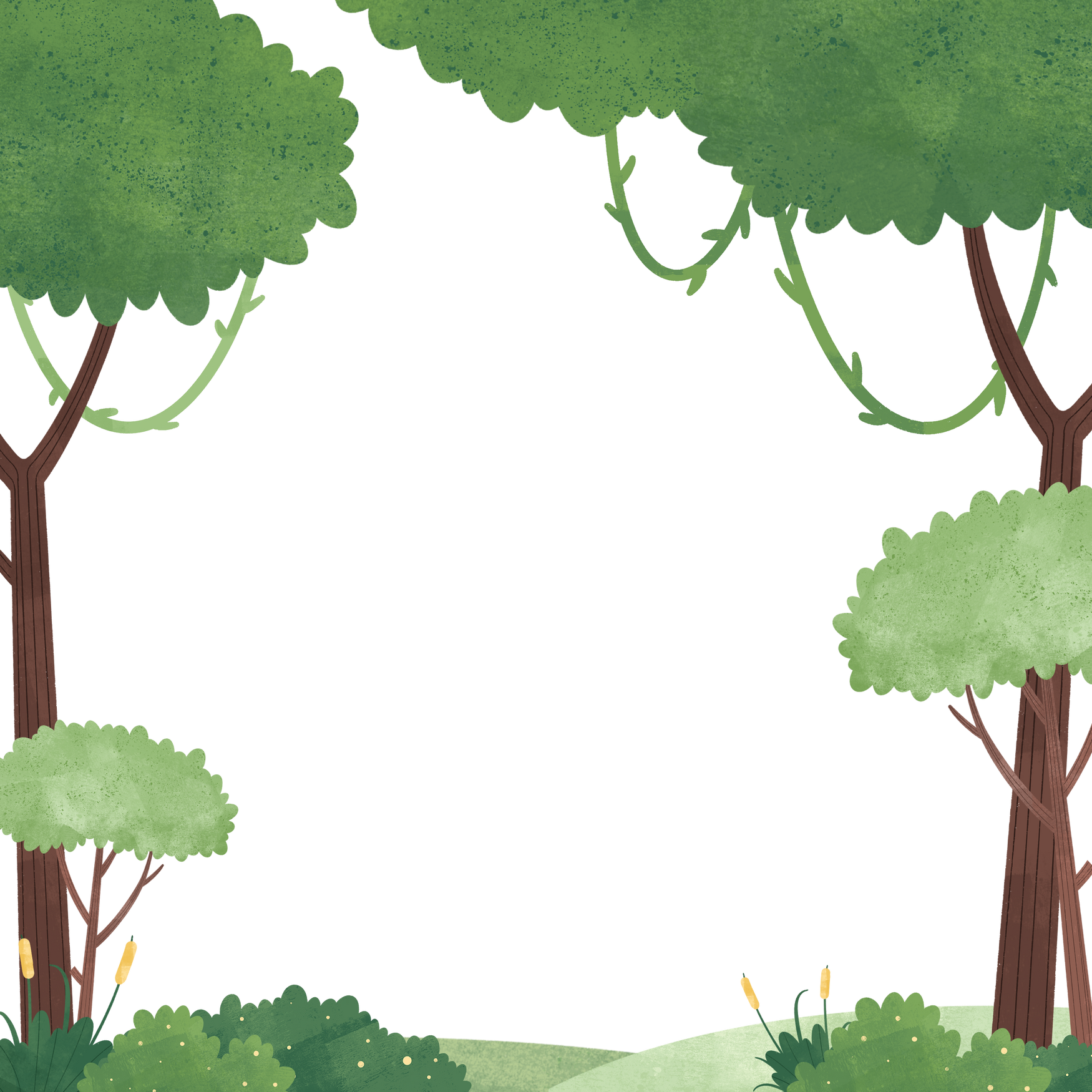 Green Forest Frame Background