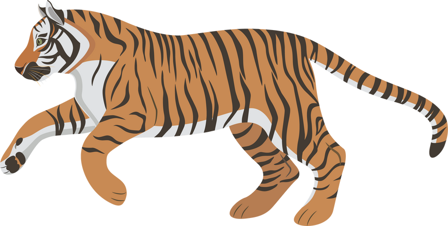 Graphic illustration with big wild jumping tiger